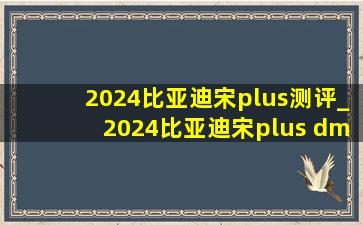 2024比亚迪宋plus测评_2024比亚迪宋plus dmi内置etc